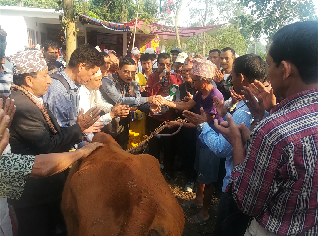 बिपन्नलाई गाइका कोरली र कर्कटपाता दियो देवीथान सामुदायिक वनले, कार्यालय भवन पनि उद्घाटन 