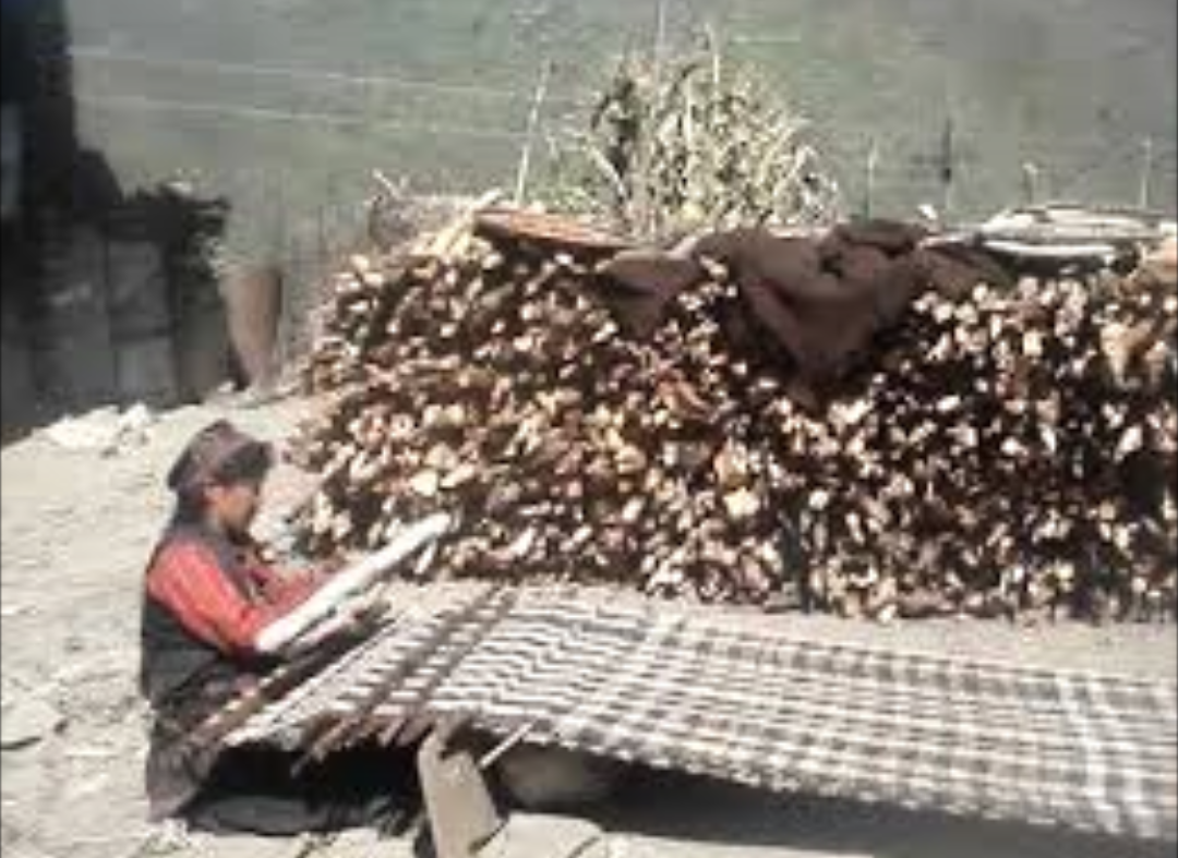चरन खोसिएपछि गाउँका राडिपाखी लोप हुँदै, भएका राडिपाखी उद्योग पनि संकटमा