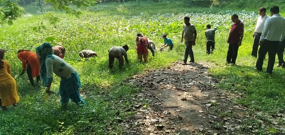 मोरङमा लागू हुन थाल्यो प्रधानमन्त्री स्वरोजगार कार्यक्रम , बेलबारीका २ सय युवाले पाए रोजगारी