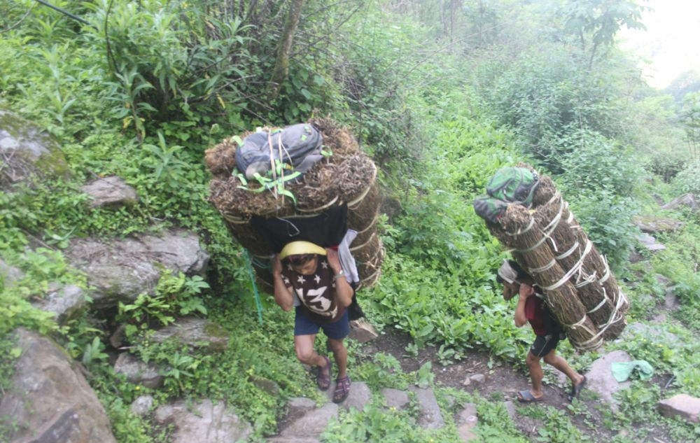 बिकेनन पहिले हेलिकप्टर चार्टर गरेर लगिने पुर्वका जडीबुटी, किसान र ब्यापारीलाई तनाव