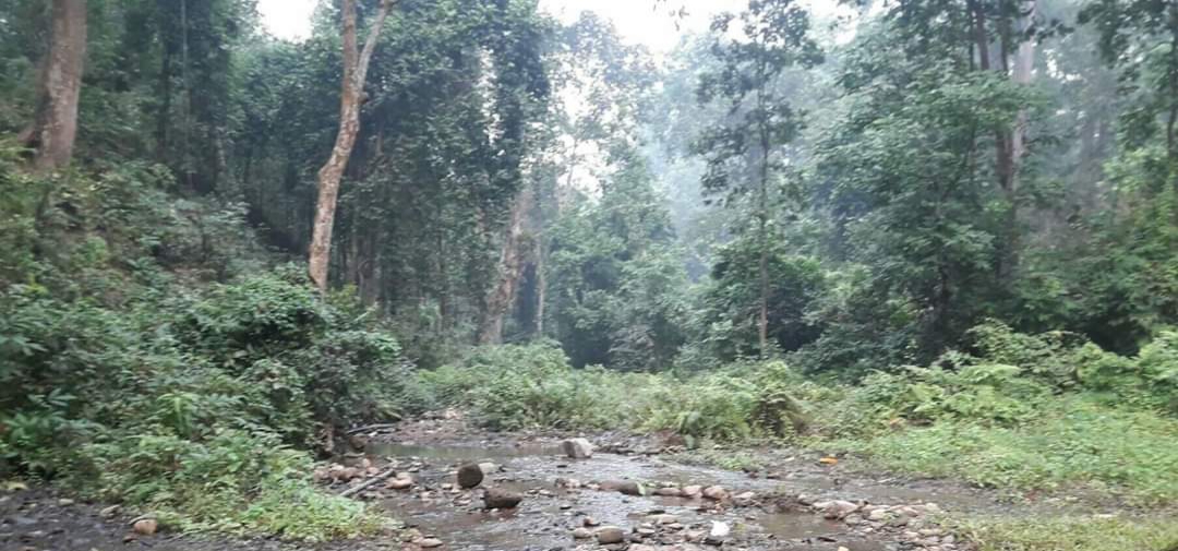 केराबारी ९ स्थित सिंहदेवी सामुदायिक वनमा अनियमितता, पुरानो र नयाँ समितिबिच गाँड कोराकोर