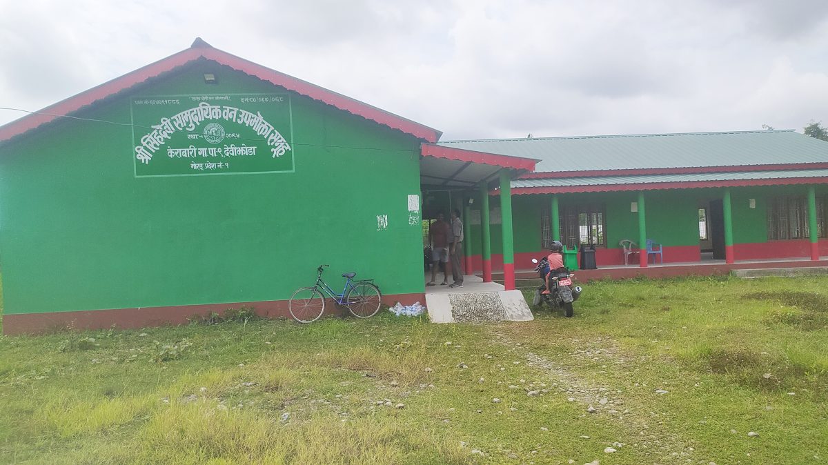 सिंहदेवी सामुदायिक वनको नयाँ समितिका लागि चुनाव हुँदै, स्थानीय निर्वाचनकै झल्को