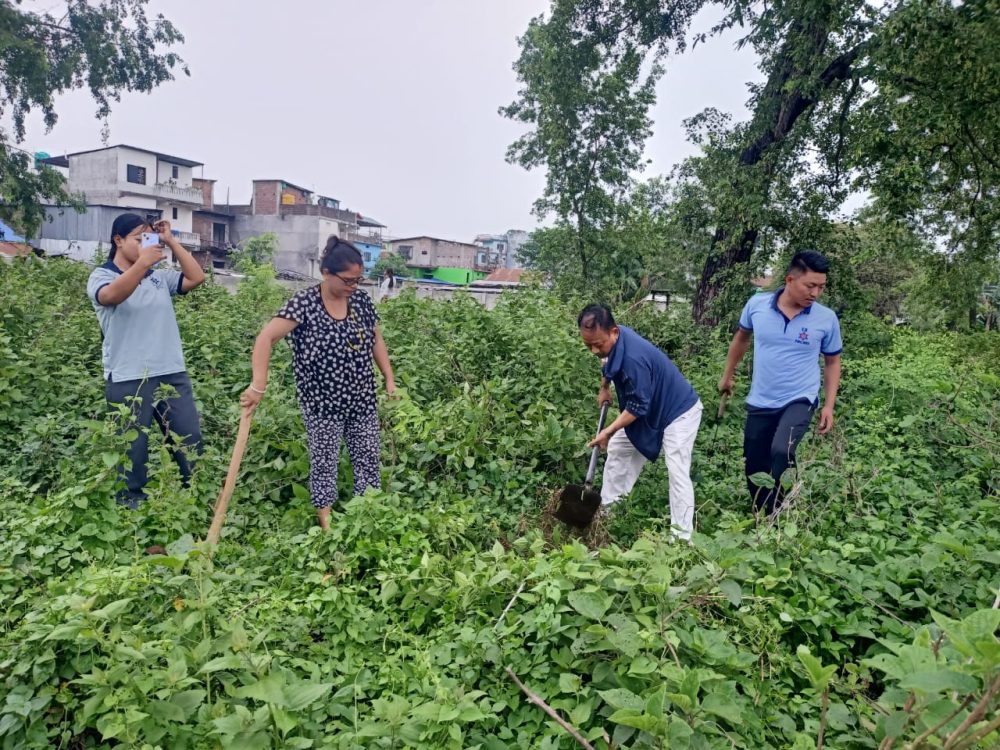 पथरीशनिश्चरे वडा नं. १ मा रोपिए करिब पांच सय बिरुवा
