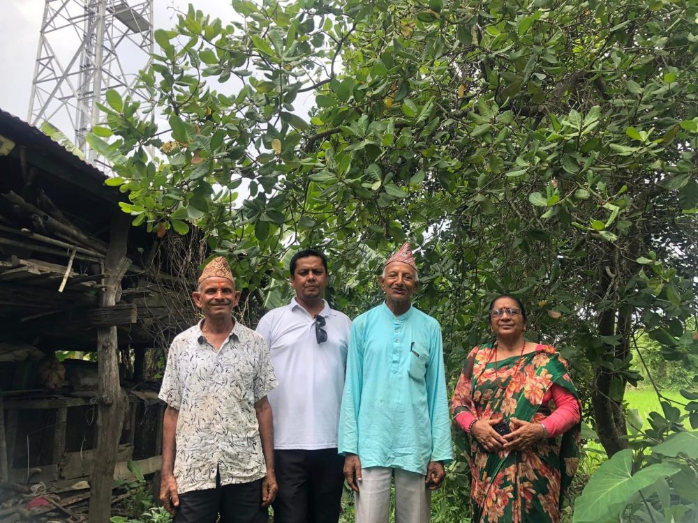 काजु खेती तथा बिरुवा उत्पादनबाट प्रसस्त आम्दानी गर्दै पथरीका एक कृषक
