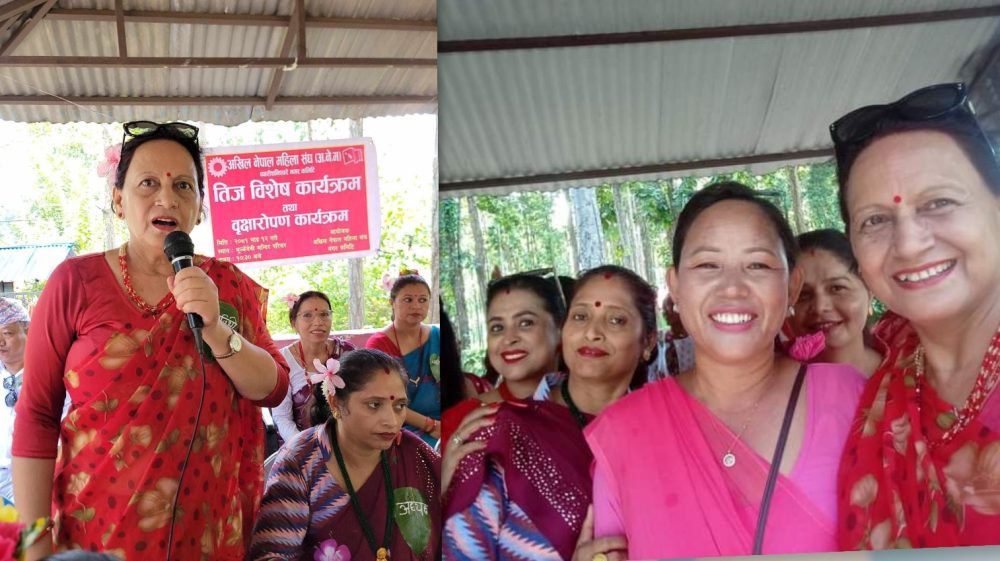 बिरुवा रोपेर बाँदरलाइ फलफूल खुवाउँदै अनेमसंघ पथरीले गर्यो तीज विशेष कार्यक्रम