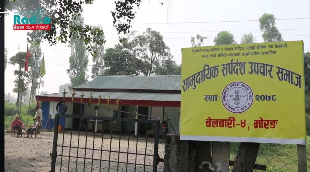उत्तरी मोरङमै प्रभावकारी सेवा दिदै बेलबारीको सामुदायिक सर्पदंश उपचार समाज