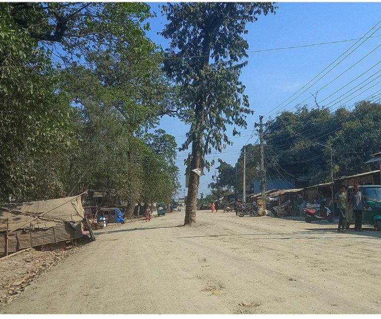 मदन भण्डारी राजमार्गमा पर्ने रुखहरु काट्न सरकारले दियो स्वीकृति